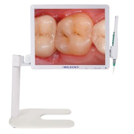 Waldent Intraoral Camera With Screen WiFi Model (12MP) Smartcam with PMS