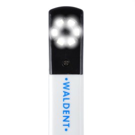 Waldent Intraoral Camera USB Model