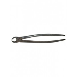 Eltee Extraction Forceps Adult Upper Cowhorn Right - Ef-089