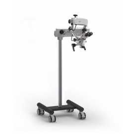 Labomed Prima Dnt Microscope With Motorised Focussing