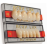 Ruthinium Acry Lux Teeth Set-Three Layer Full set of 28