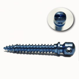 SK Surgicals Orthodontic Mini Implant Screw - Titanium 1.5 mm Diameter (Pk/4)